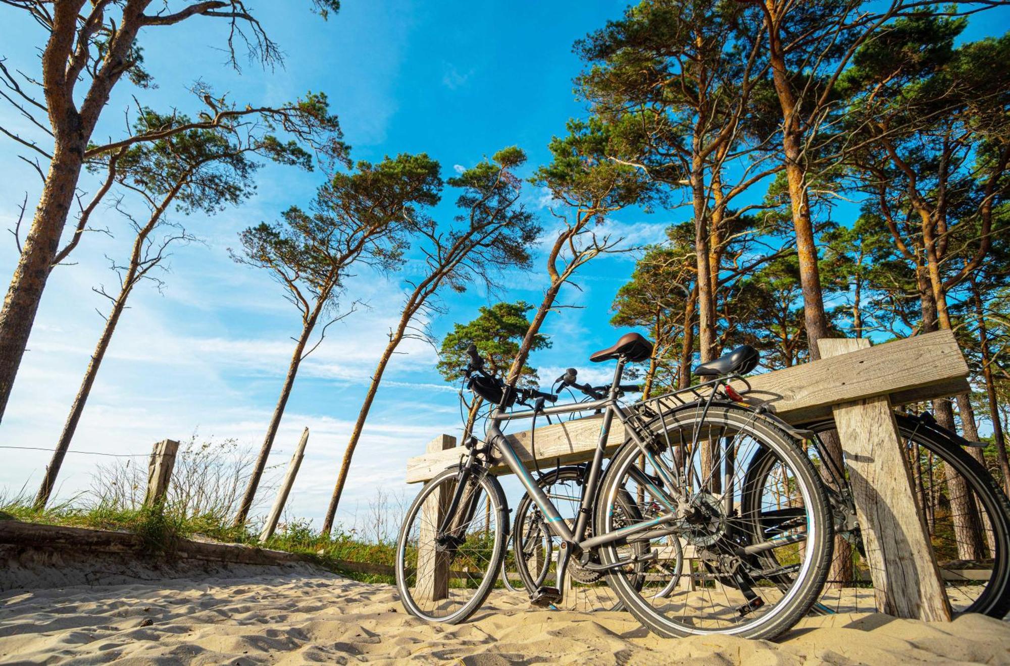 Apartment Heymat An Der Seebruecke Ostseeheilbad Ostseeheilbad Zingst Exterior foto